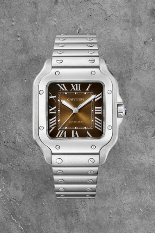 Santos De Cartier Steel MED Brown